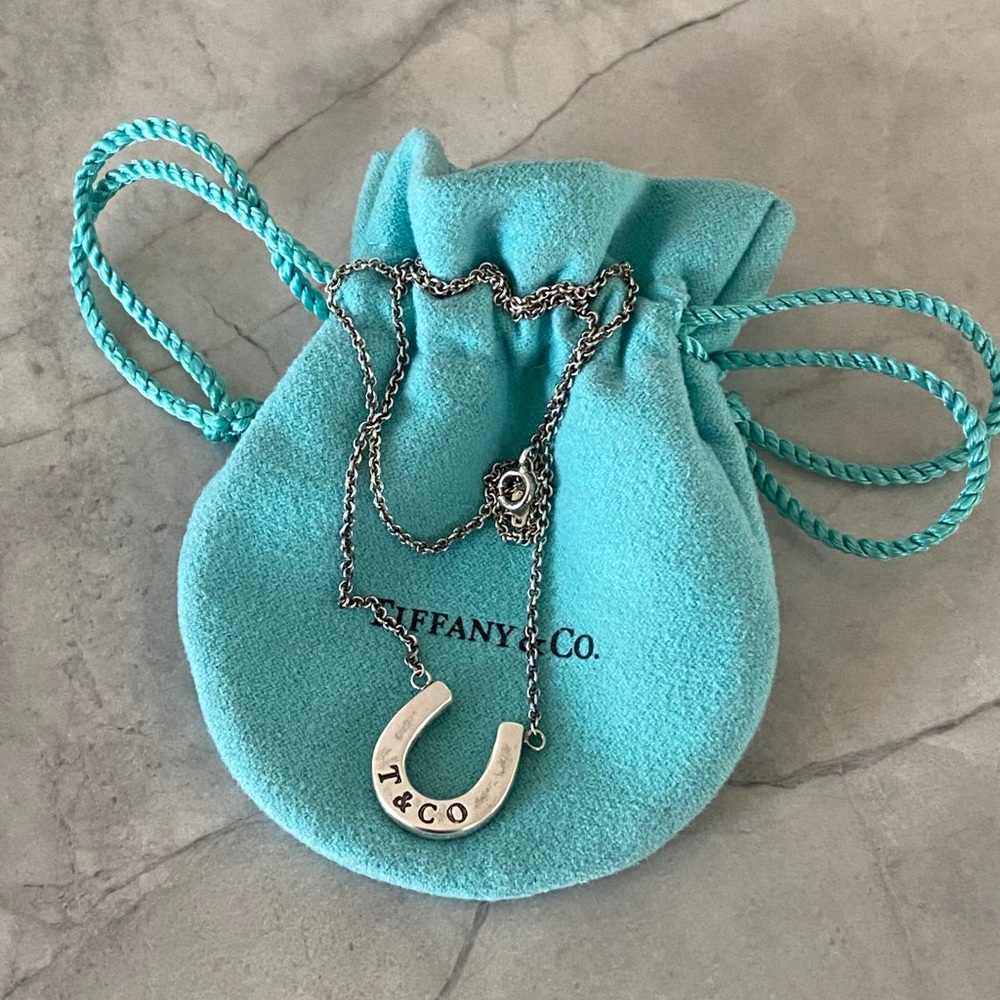 VTG Authentic Tiffany&Co.925 horseshoe necklace